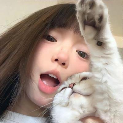 心之动力学